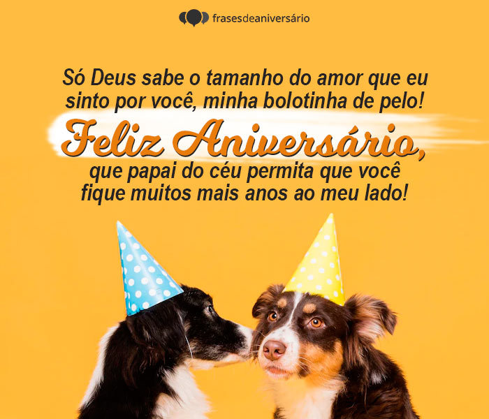 39 Mensagens de Aniversário para Cachorro – Frases de Aniversário